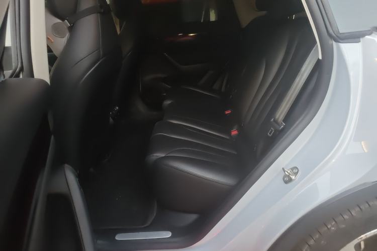 Used Leapmotor C11 2021 Luxury Edition Left Rear Seat