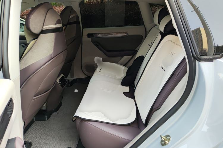 Used Leapmotor C11 2021 Luxury Edition Left Rear Seat