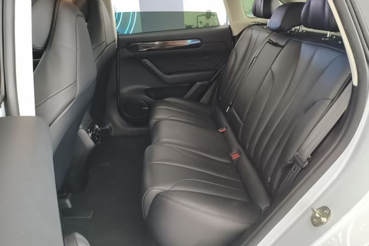 Used Leapmotor C11 2021 Performance Edition Left Rear Seat