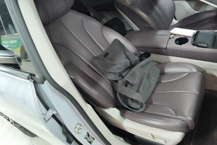 Used Leapmotor C11 2021 Revised Version Luxury Edition Right Front Seat