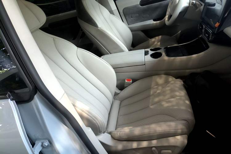 Used Leapmotor C11 2021 Luxury Edition Right Front Seat
