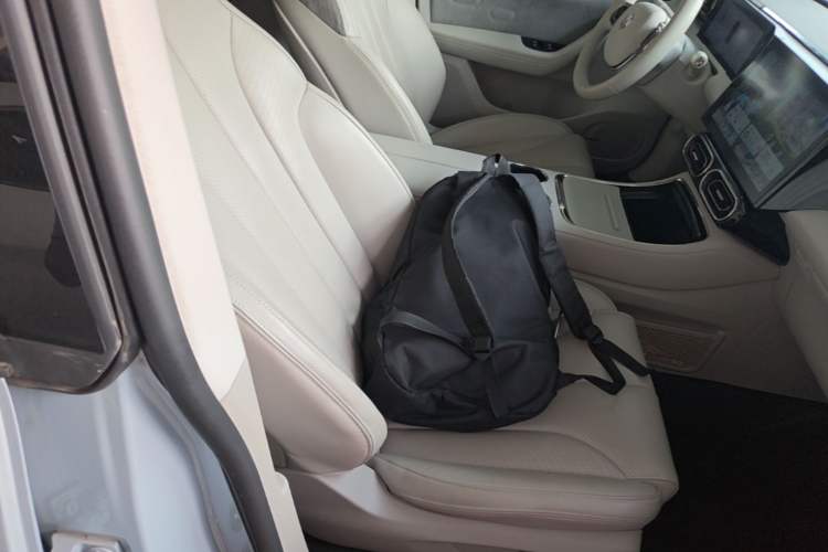 Used Leapmotor C11 2021 Luxury Edition Right Front Seat