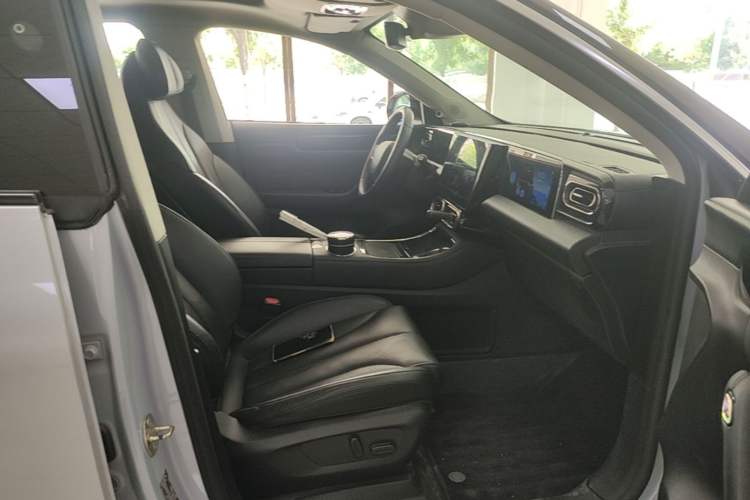 Used Leapmotor C11 2021 Luxury Edition Right Front Seat