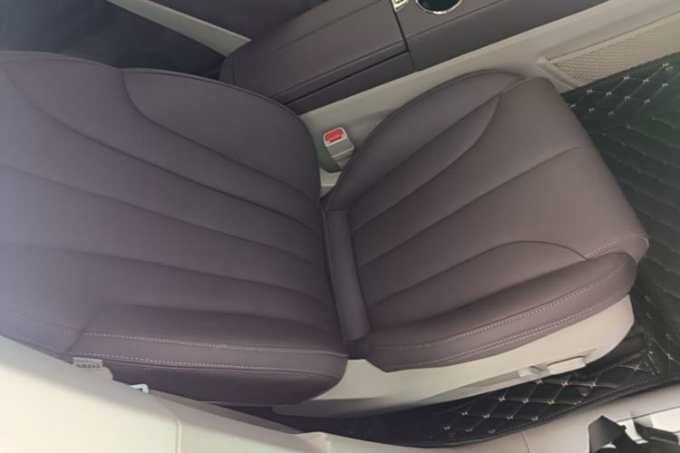 Used Leapmotor C11 2021 Luxury Edition Right Front Seat