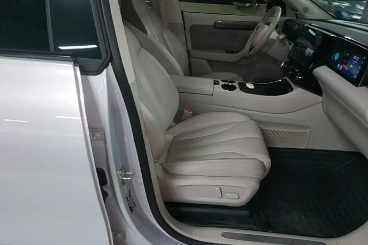 Used Leapmotor C11 2021 Luxury Edition Right Front Seat