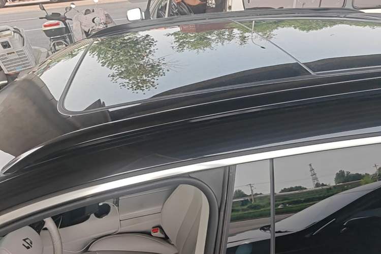 Used Leapmotor C11 2021 Deluxe Edition Roof