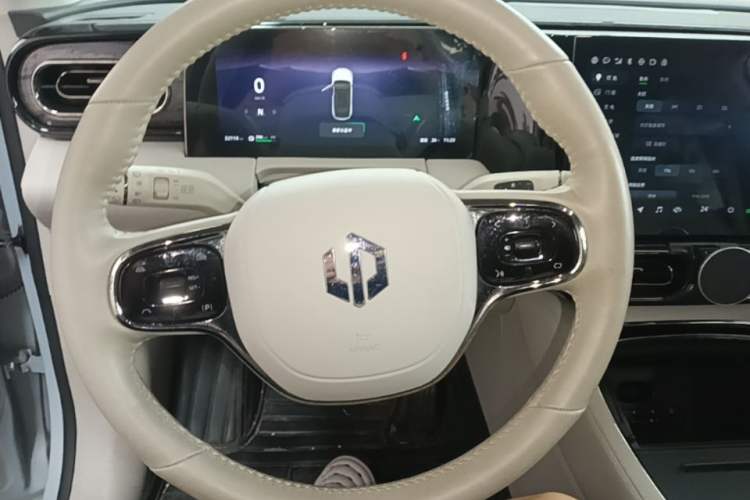 Used Leapmotor C11 2021 Luxury Edition Steering Wheel