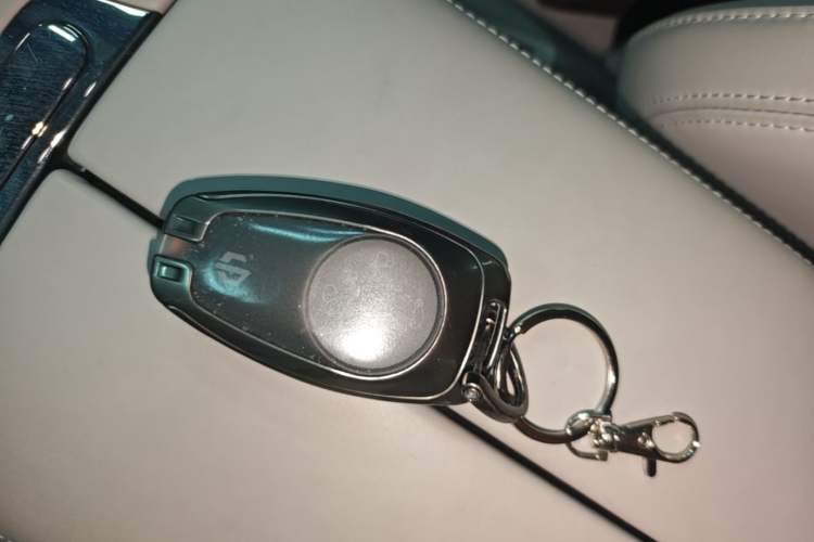 Used Leapmotor C11 2021 Executive Edition 610 Vehicle Key