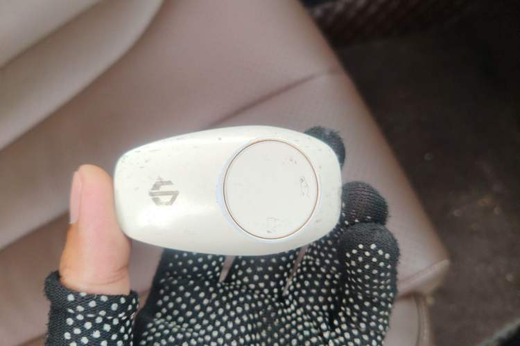Used Leapmotor C11 2021 Revised Version Luxury Edition Vehicle Key