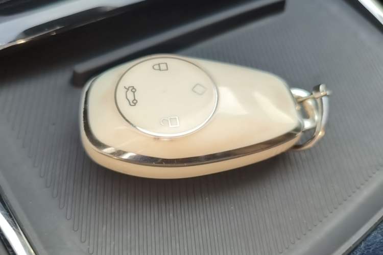 Used Leapmotor C11 2021 Deluxe Edition Vehicle Key