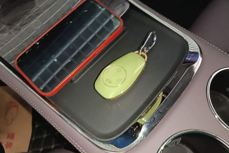 Used Leapmotor C11 2021 Luxury Edition Vehicle Key