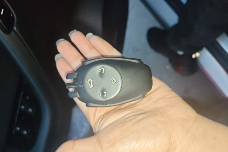 Used Leapmotor C11 2021 Luxury Edition Vehicle Key