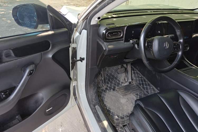 Used Leapmotor C11 2021 Luxury Edition Driver Seat