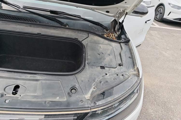 Used Leapmotor C11 2021 Luxury Edition Engine Bay Left