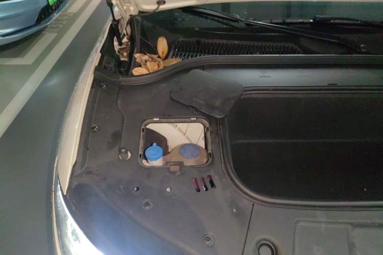 Used Leapmotor C11 2021 Performance Edition Engine Bay Right