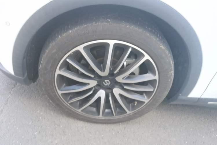 Used Leapmotor C11 2021 Revised Version Luxury Edition Exterior 4