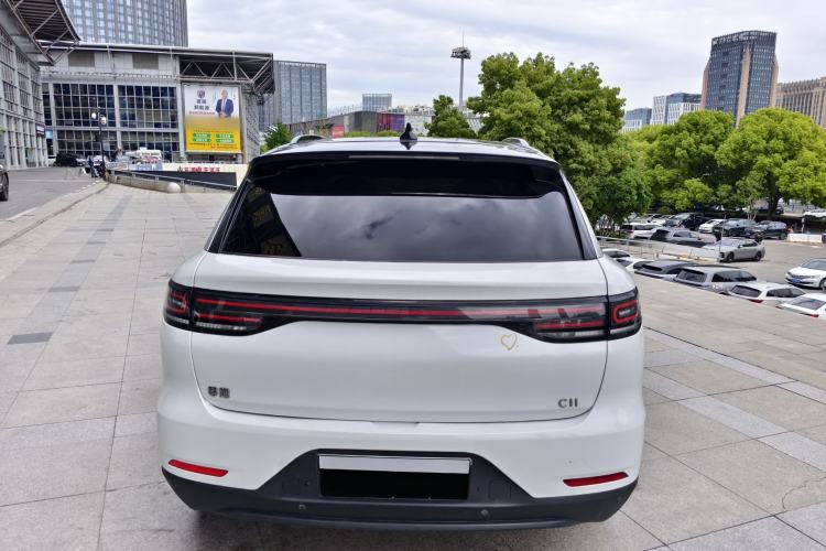 Used Leapmotor C11 2021 Luxury Edition Exterior 8