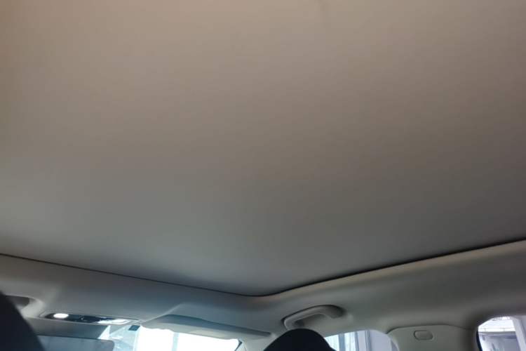 Used Leapmotor C11 2021 Luxury Edition Headliner