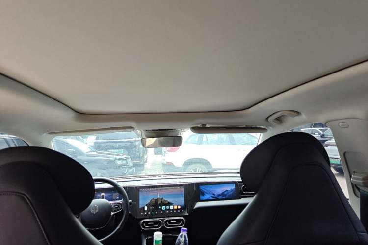 Used Leapmotor C11 2021 Luxury Edition Headliner