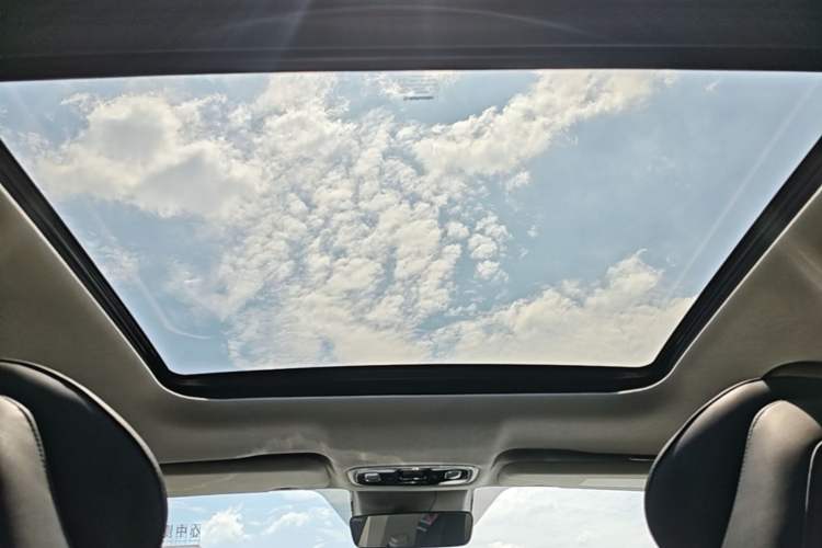 Used Leapmotor C11 2021 Luxury Edition Headliner