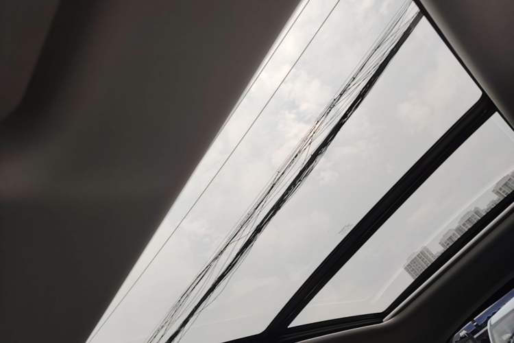 Used Leapmotor C11 2021 Performance Edition Headliner