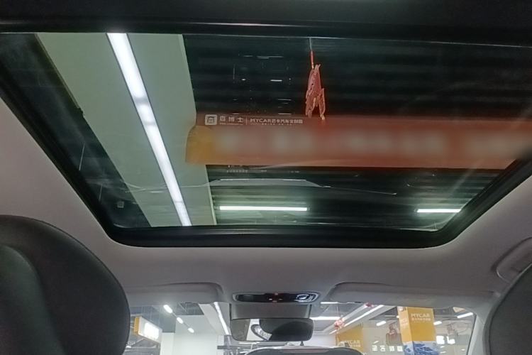 Used Leapmotor C11 2021 Luxury Edition Headliner