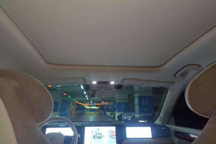 Used Leapmotor C11 2021 Performance Edition Headliner