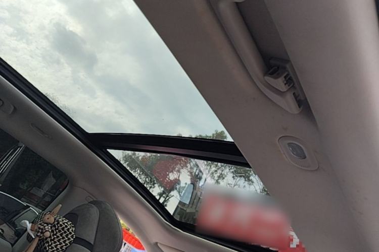 Used Leapmotor C11 2021 Luxury Edition Headliner