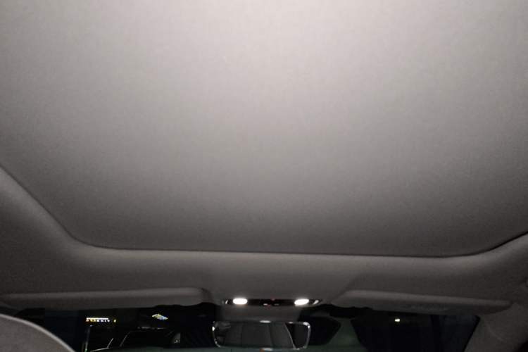 Used Leapmotor C11 2021 Revised Version Luxury Edition Headliner
