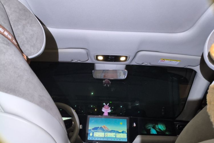 Used Leapmotor C11 2021 Revised Version Luxury Edition Headliner