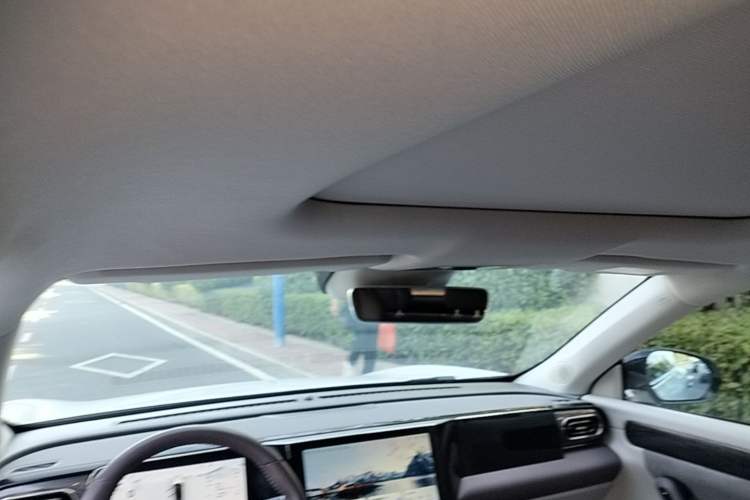 Used Leapmotor C11 2021 Executive Edition 510 Headliner