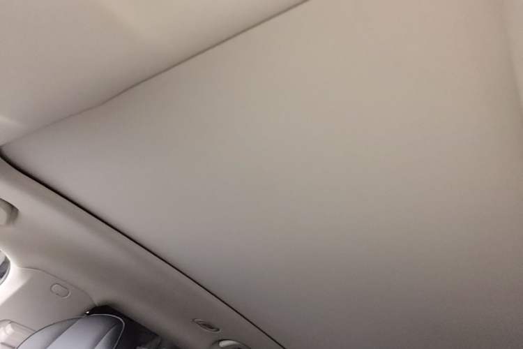 Used Leapmotor C11 2021 Deluxe Edition Headliner
