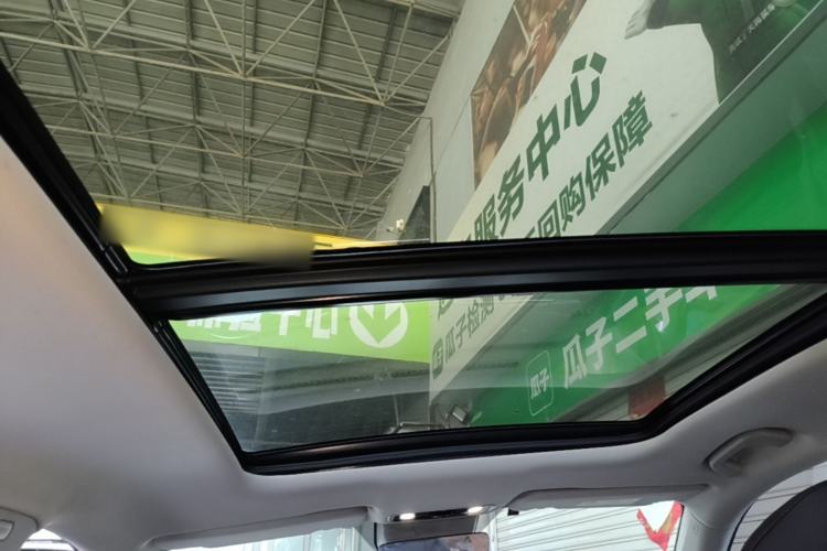 Used Leapmotor C11 2021 Luxury Edition Headliner