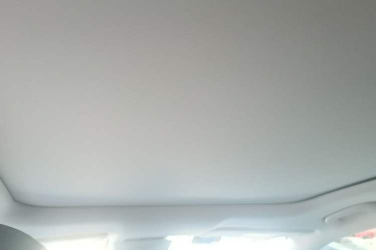 Used Leapmotor C11 2021 Revised Version Luxury Edition Headliner
