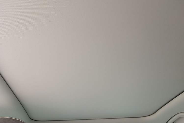Used Leapmotor C11 2021 Deluxe Edition Headliner