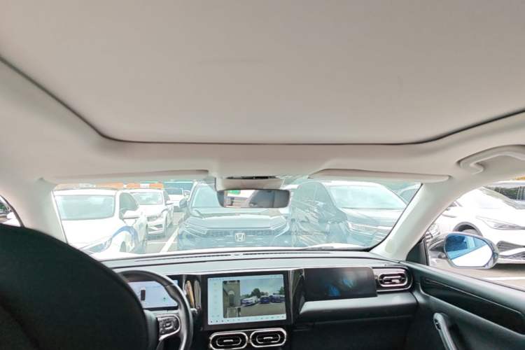 Used Leapmotor C11 2021 Luxury Edition Headliner
