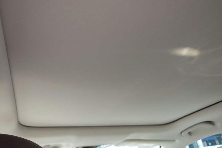 Used Leapmotor C11 2021 Revised Version Luxury Edition Headliner