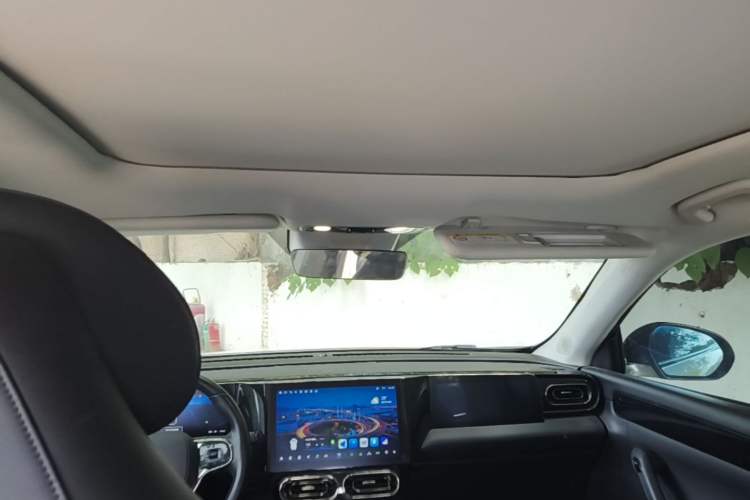 Used Leapmotor C11 2021 Luxury Edition Headliner
