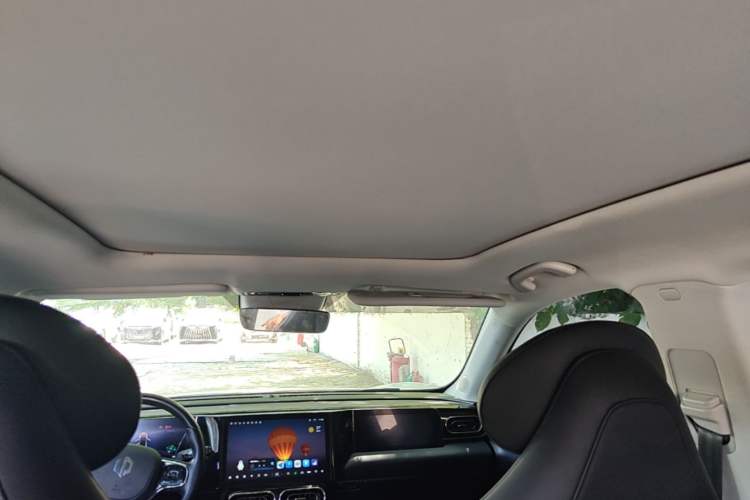 Used Leapmotor C11 2021 Luxury Edition Headliner