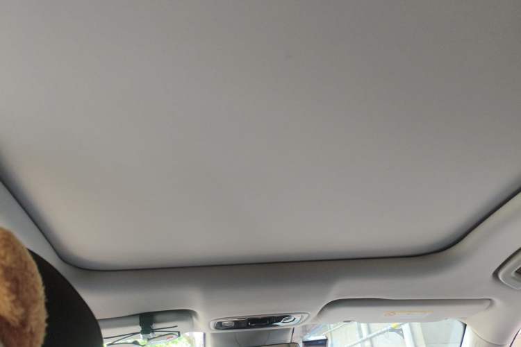 Used Leapmotor C11 2021 Revised Version Luxury Edition Headliner