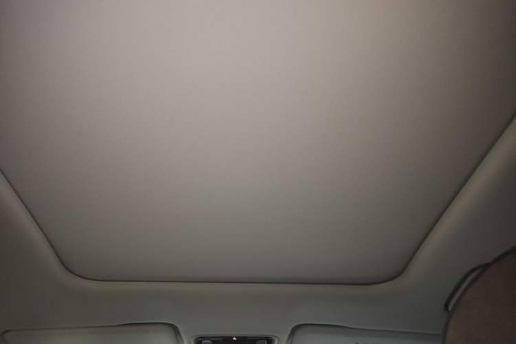 Used Leapmotor C11 2021 Revised Version Luxury Edition Headliner