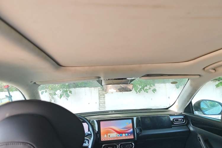 Used Leapmotor C11 2021 Luxury Edition Headliner