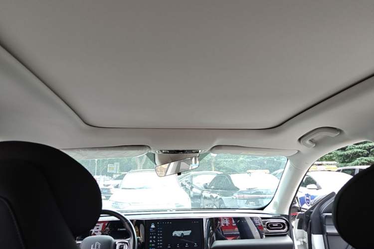 Used Leapmotor C11 2021 Luxury Edition Headliner