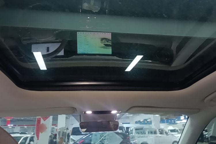Used Leapmotor C11 2021 Luxury Edition Headliner