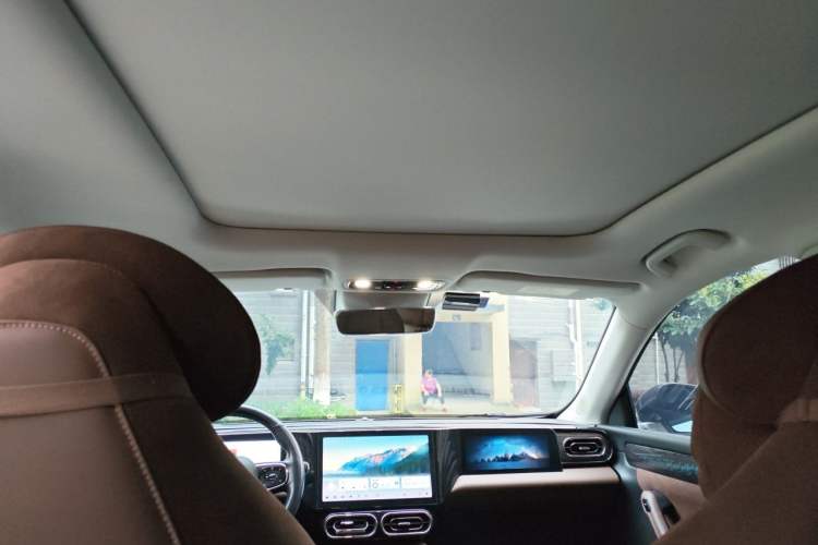 Used Leapmotor C11 2021 Revised Version Luxury Edition Headliner
