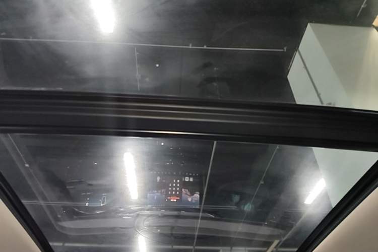 Used Leapmotor C11 2021 Luxury Edition Headliner