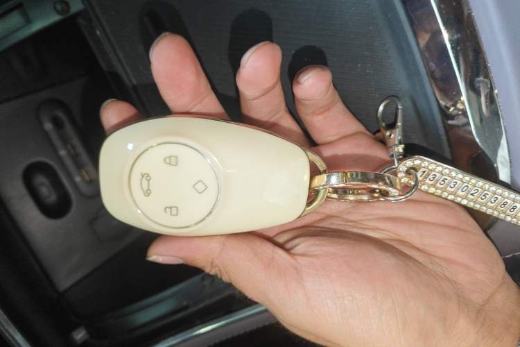 Used Leapmotor C11 2021 Revised Version Luxury Edition Interior 1