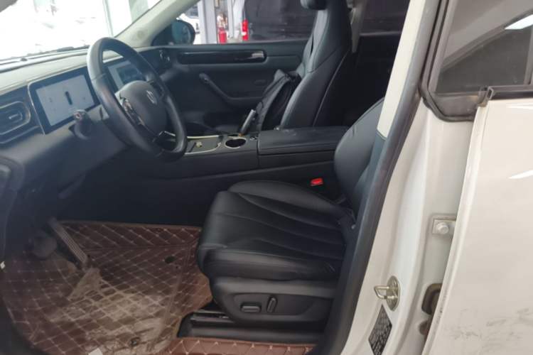 Used Leapmotor C11 2021 Luxury Edition Left Front Seat