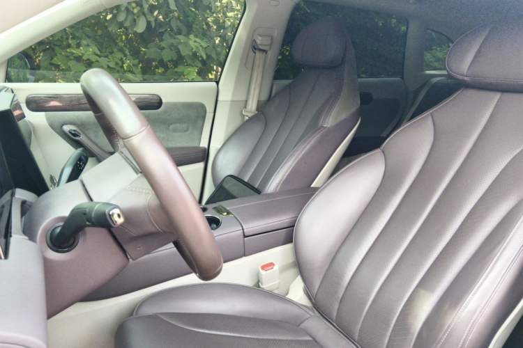 Used Leapmotor C11 2021 Performance Edition Left Front Seat