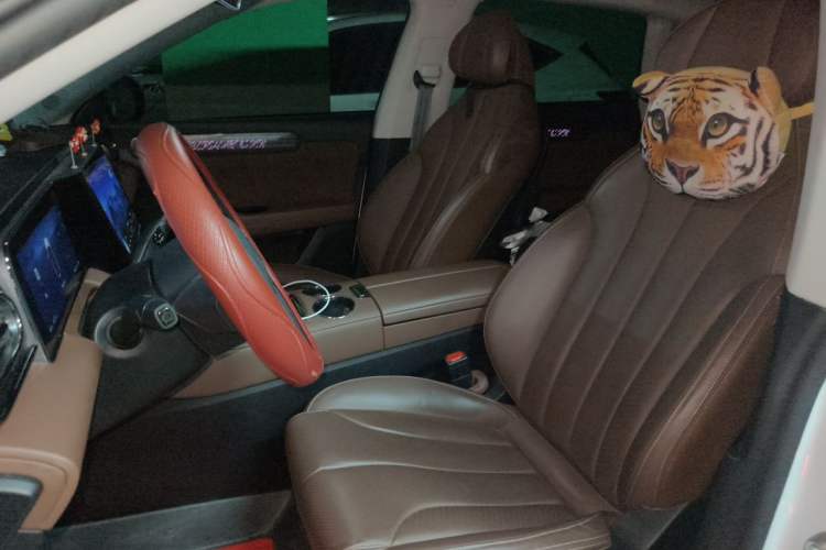 Used Leapmotor C11 2021 Deluxe Edition Left Front Seat